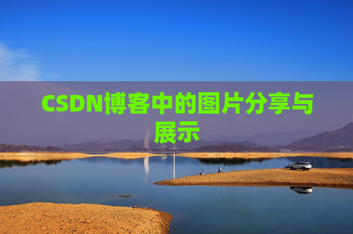 CSDN博客中的图片分享与展示